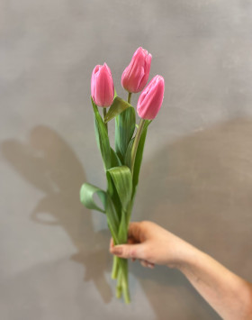 3 розовых тюльпана